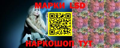 стафф Новозыбков