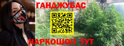стафф Новозыбков