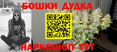 ешки Новокубанск