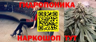 стафф Новозыбков