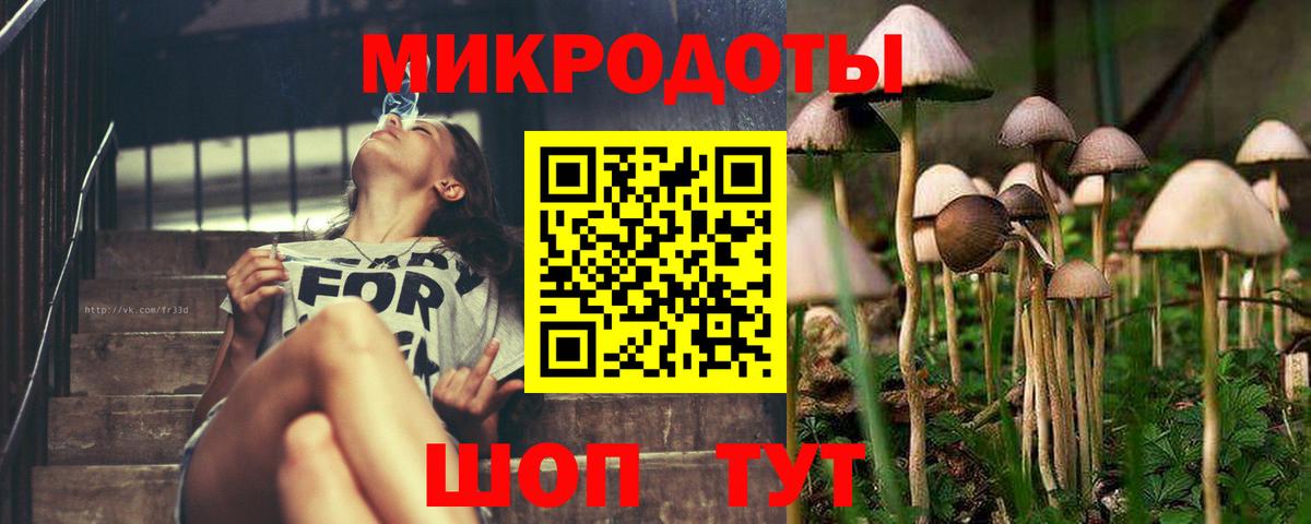 Галлюциногенные грибы мухоморы Туймазы